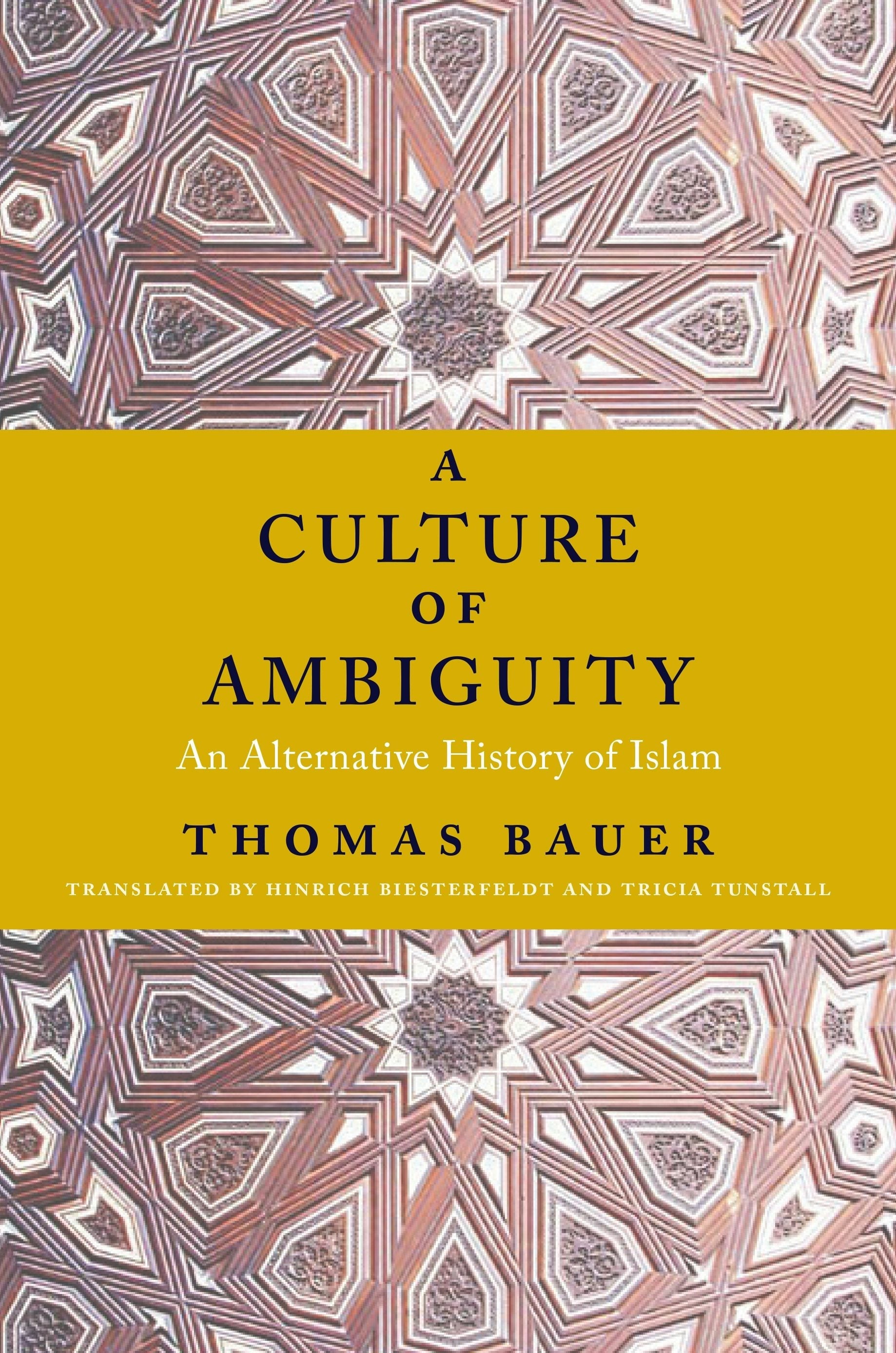 Book cover image for A Culture of Ambiguity ISBN: 9780231170659